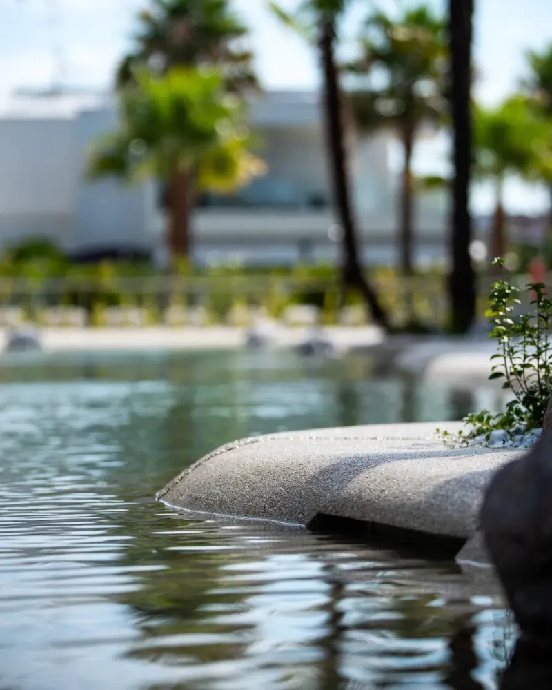 piscine lagon Bio design (11)