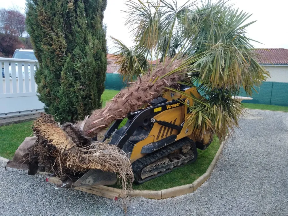 améngament extérieur (12webp