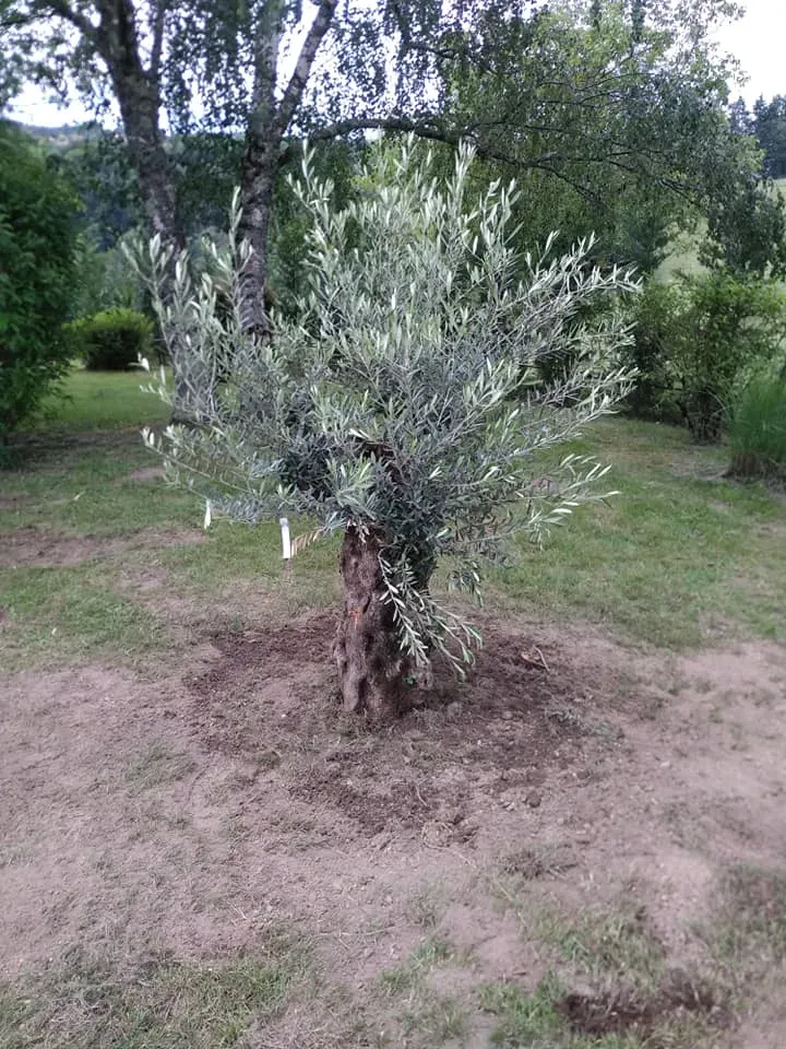 aménagement extérieur (2webp